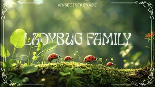 LADYBUG FAMILY | 4K Nature Films ♫ Healing Music for Deep Sleep, Focus and Meditation - #125