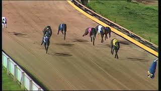 GEL FRI 08 SEP 17 R12