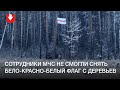 Сотрудники МЧС не смогли снять бело-красно-белый флаг с деревьев в Боровлянах