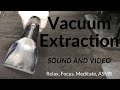 ASMR Relaxing Car Vacuum Extraction--Video and Sound-- Bissell SpotClean Professional
