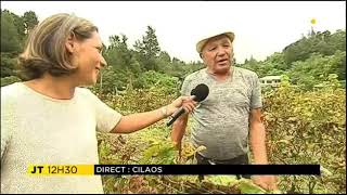 Isabelle Allane À Cilaos Chez Le Viticulteur Christian Dijoux Pour Les Vendanges.