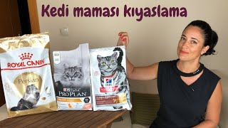 Kedi Mamasi Kiyaslamasi Ve Dogru Kedi Mamasi Nasil Secilir Tum Detaylariyla Anlattim Youtube