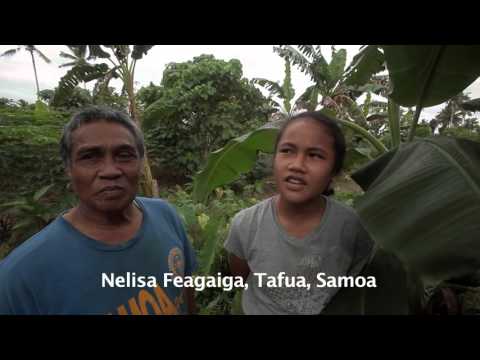 Samoa: Paradise in danger  / Hotat paradis