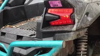 Gorilla whips chunky monkey and rock lights explained @Sidebysideuntamed