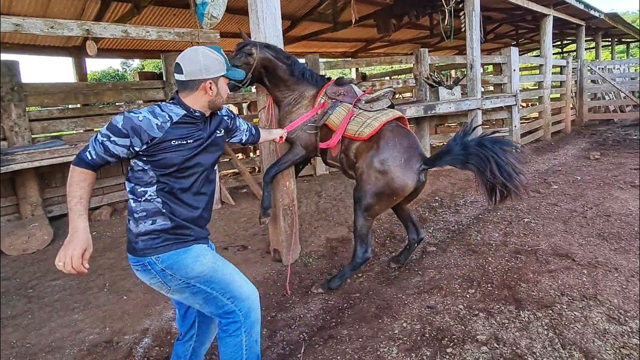 COLOQUEI SELA NA ÉGUA DOIDA E DEU RUIM