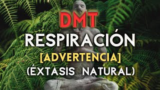 [ÉXTASIS NATURAL] Respiración Alcalina DMT  3 Rondas (Edición Bosque)