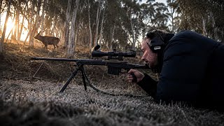 Shooting 2 SAMBAR STAGS