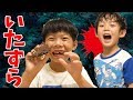 いたずら ドッキリ 再び？仲良し兄弟 brother4 アツキの 反応は？