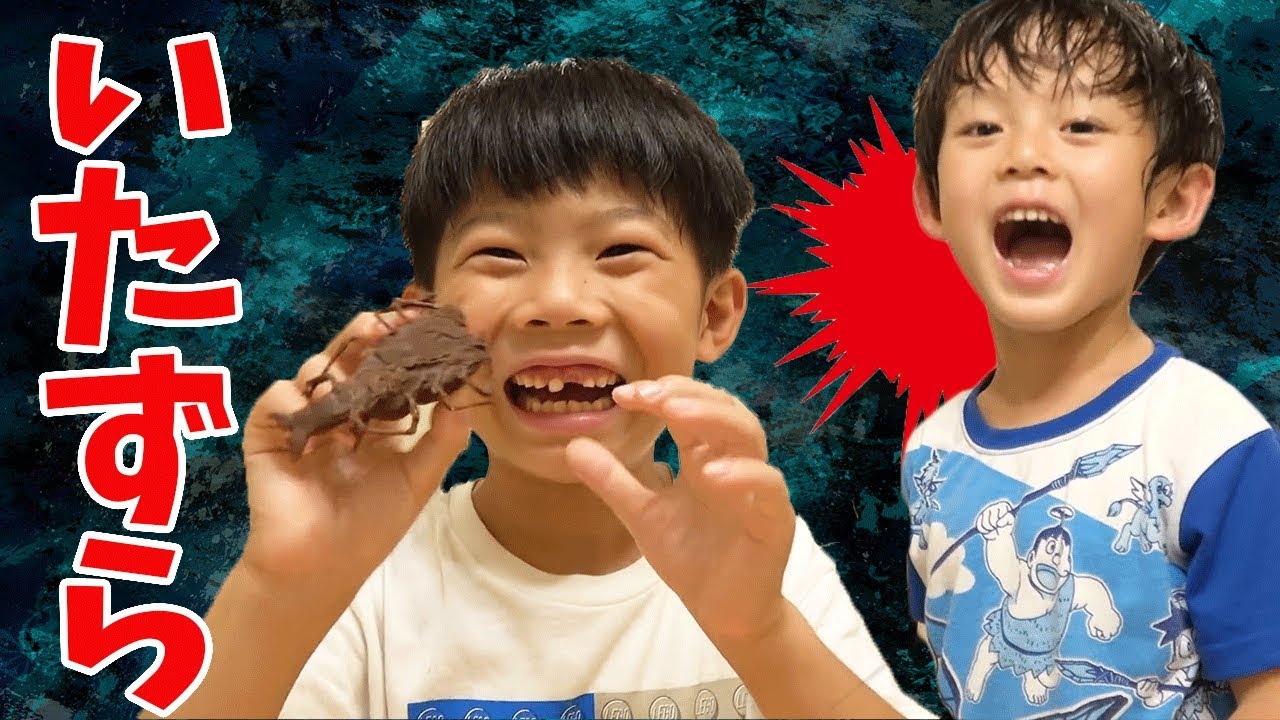 いたずら ドッキリ 再び？仲良し兄弟 brother4 アツキの 反応は