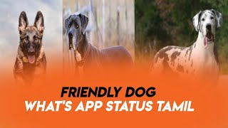 Ungaluku Dog Na Romba Whats App Status Tamil Friendly Dogs Whats App Status Mrv Official