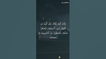 تلاوة بينة من سورة الزمر بصوت القارئ مصطفى جيد حفظه الله