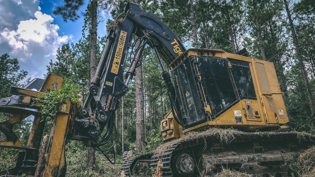 Tigercat 822D Making Stumps & How Wore Out Are The Delimbinator Chains