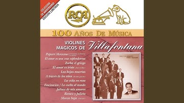 Fascinación / La Vuelta al Mundo en 80 Días