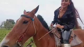 Hot Women Ridding Horse Hardly