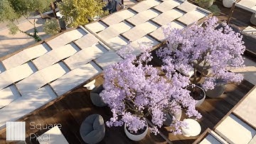 3D Architectural rendering for Water Low Garden