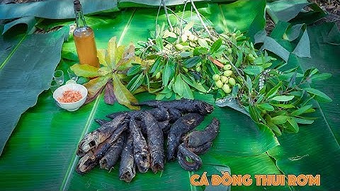 Mồi bén của dân nhậu cá lóc thui rơm " Lai Rai " ngoài đồng | Gấc Quê