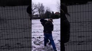 der spinnenkampf #funny #unterhaltung #natur #Spinne#Kampf