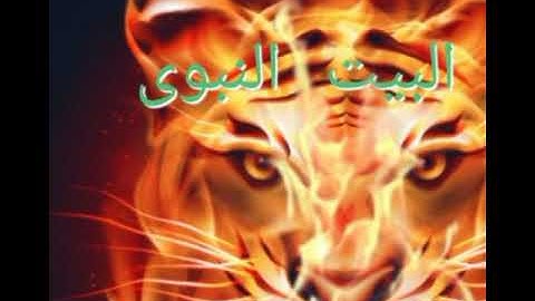 تلاوه رائعه للقارئ مصطفى لطفى السعيد