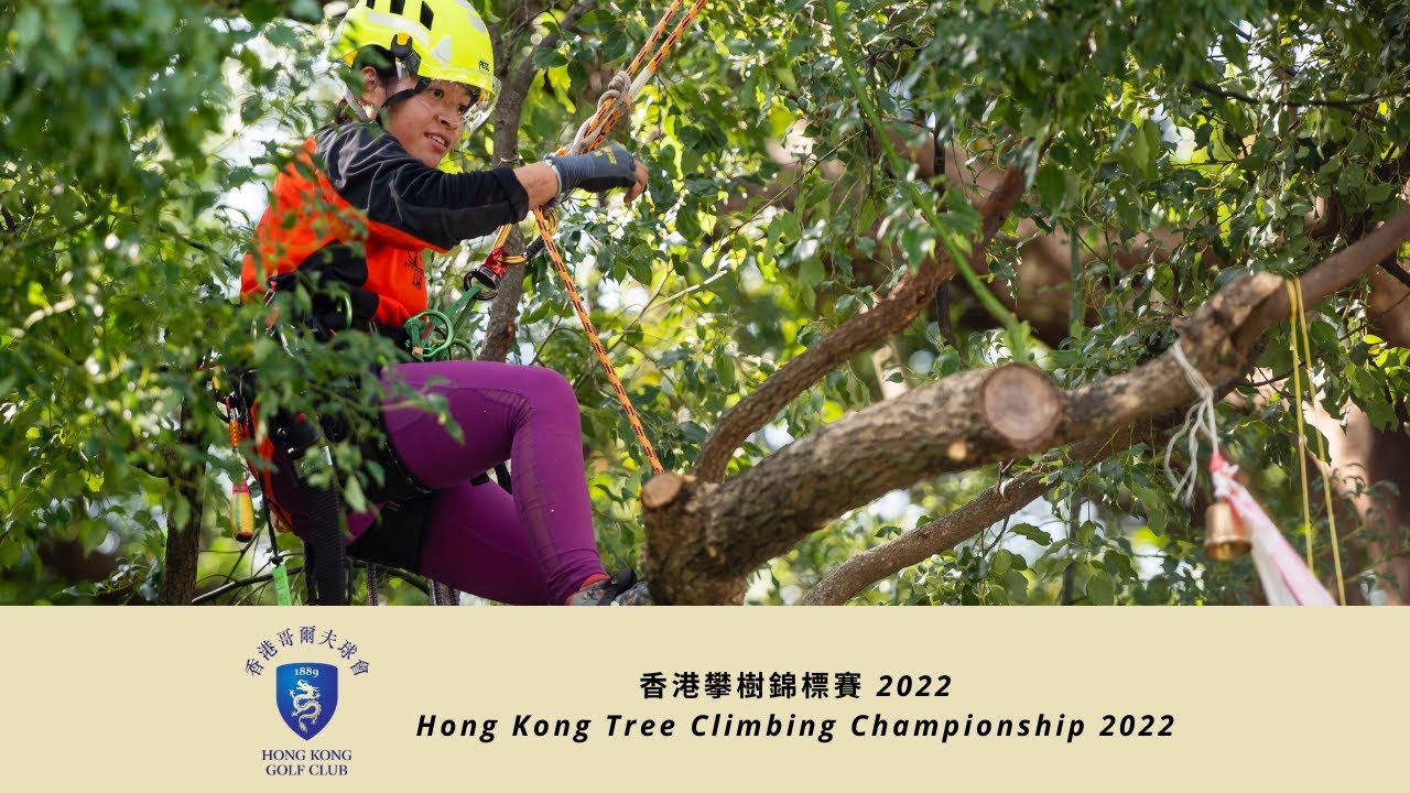 香港攀樹錦標賽 2022 || Hong Kong Tree Climbing Championship 2022 - YouTube