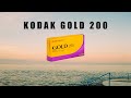 Mes premires images avec la kodak gold 200 et mon mamiya 7 