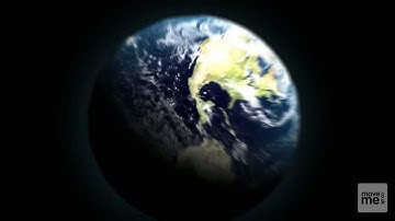 1st Move International - MoveMe Packing