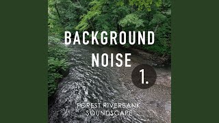 Forest Riverbank Soundscape, Pt. 17