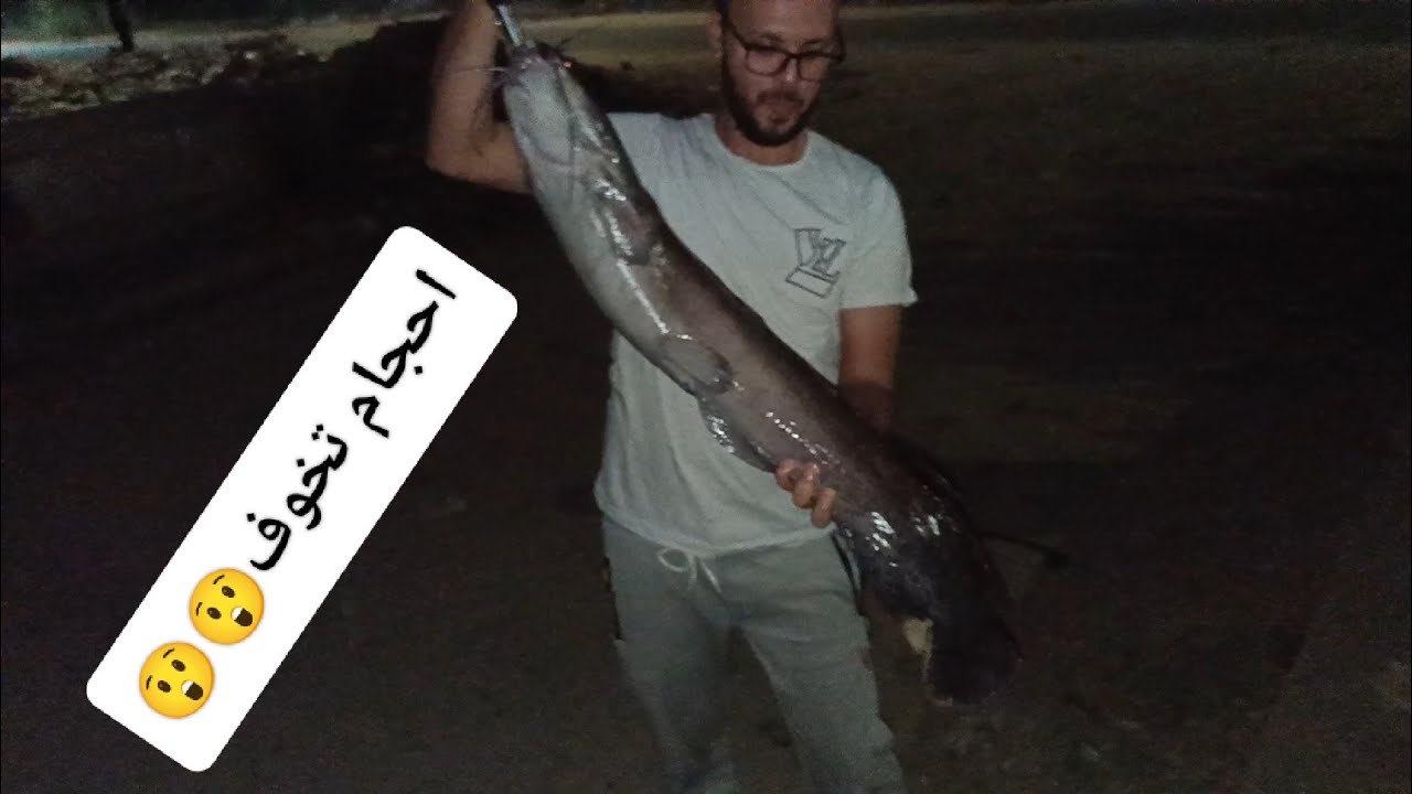 🔴 الصيد بالعنب البناتى احجام تخوف