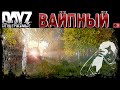 СТРИМ в записи: ВАЙПНЫЙ ЛЕТНИЙ - DayZ НЕУДЕРЖИМЫЕ МУЗЛОСТРИМ патч 1.21