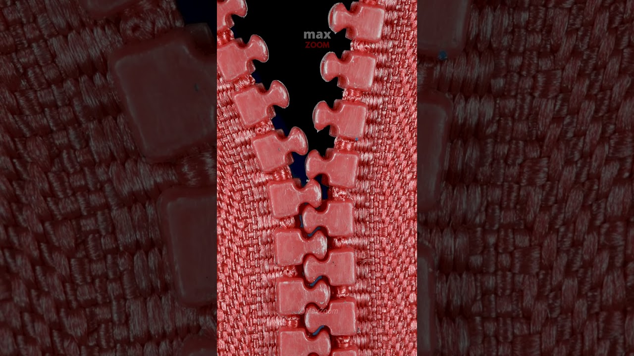 Zipper close up 