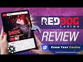 Red Dog Casino Review  🔎 Is Red Dog Casino Legit? - YouTube