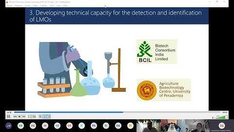 Technical Session I  Guidelines for the safe use of GMOs LMOs in the Laboratory