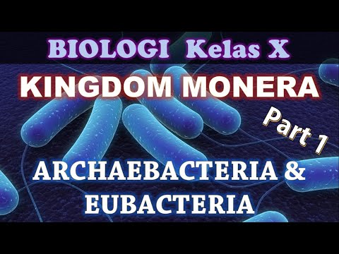 Video: Adakah semua archaea mempunyai flagela?