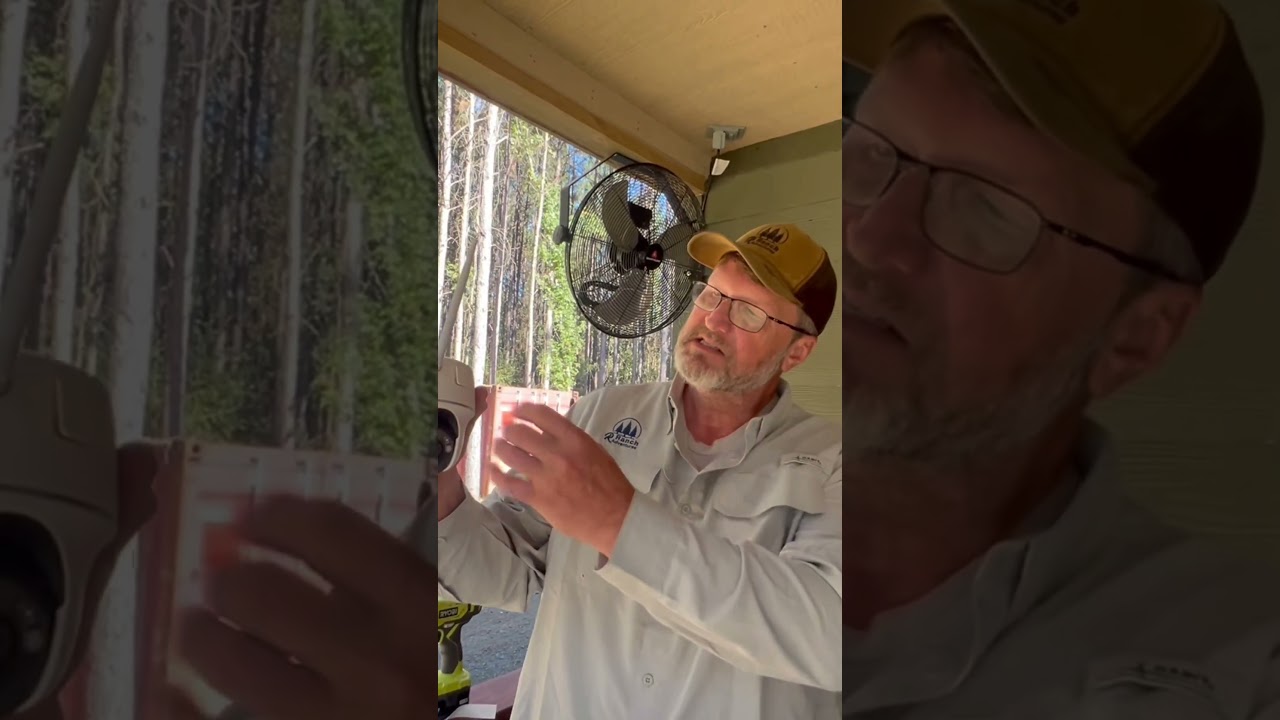 Безопасность — это просто 👀 