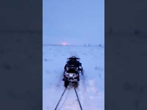 Видео: Красноярскийн хязгаарт Таймырын хойг дахь Хантайское нуур