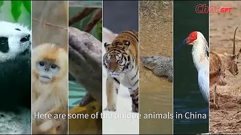 Do you know any unique animals in China? - DayDayNews