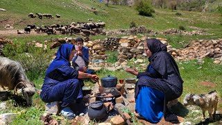 Nomadic Life style | IRAN west village life in spring (Kurdistan) | daily routine village life