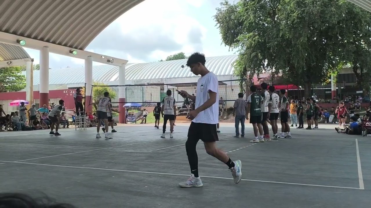 Lagartos vs cobras 1 