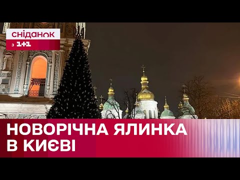 Видео: У Києві встановили новорічну ялинку: якою буде головна ялинка країни 2024?