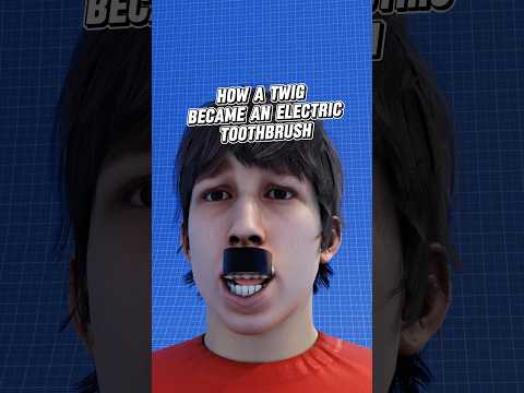How a Twig Became an Electric Toothbrush