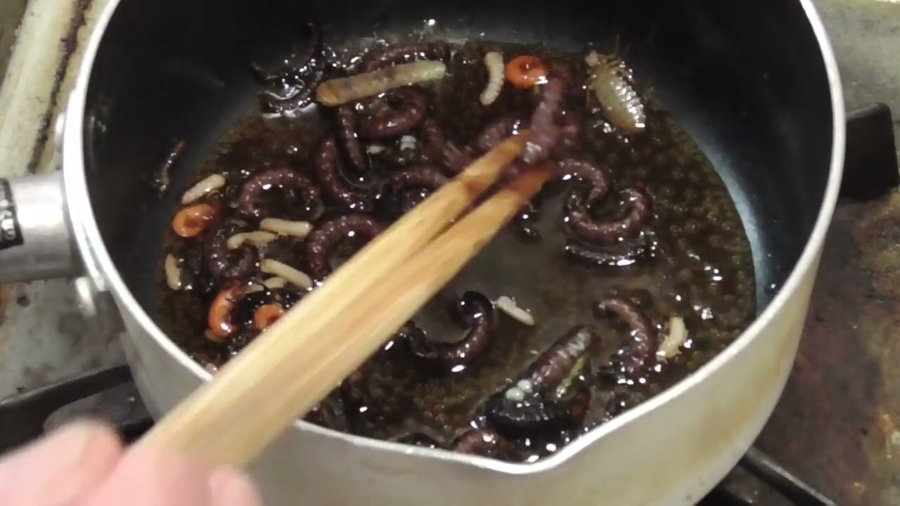 Insect Eating] You have to catch aquatic insects (Zazamushi) while