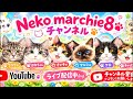 Neko marchie8 Cat′s home がライブ配信中！