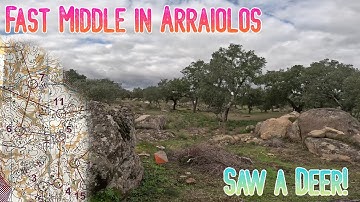 Fast Middle Distance in Arraiolos (headcam orienteering)