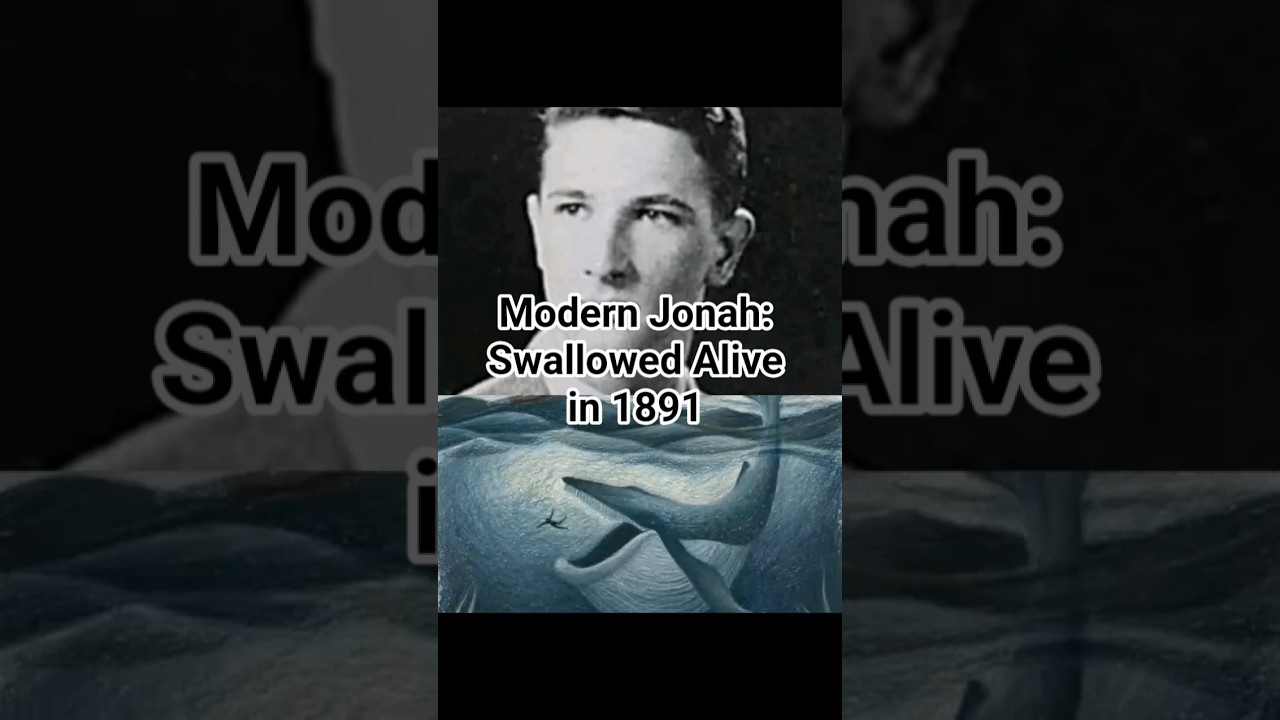 This man was eaten by a whale and came out alive!😱 #shorts #history #facts