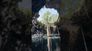 Ruta de cenotes del Yucatán, México 🐟