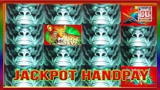 ** JACKPOT HANDPAY ** AFRICAN BEAT ** NEW KONAMI GAME ** SLOT LOVER ** screenshot 5