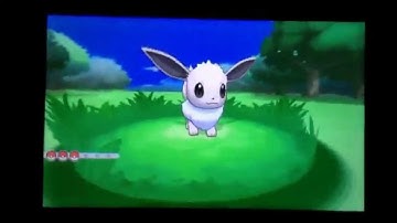 Pokemon X - My Shiny Eevee After 351 Eggs! (Masuda Method)