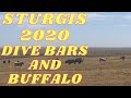 Sturgis 2020 Stonehouse