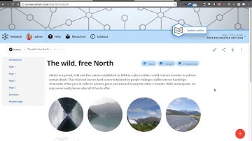 ELMSLN: Low vision accessibility simulations and tweaks all via css/js