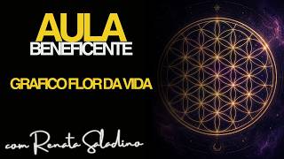 Aula Beneficente - Grafico Flor da Vida