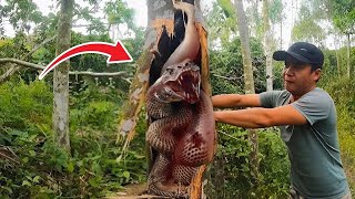 This Man Discovered In A Tree What No One Was Supposed To See by 50M Videos 10,777 views 1 month ago 21 minutes